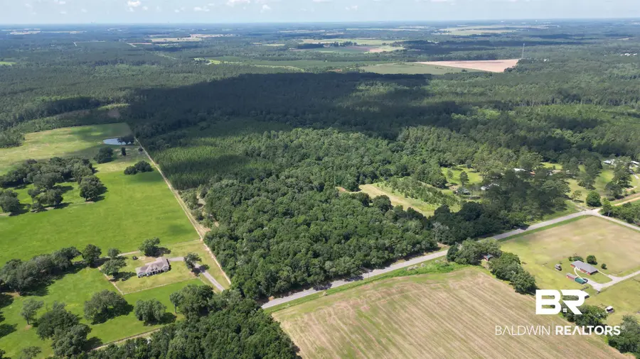 20033 Greek Cemetery Road, Robertsdale, AL 36567 - #3