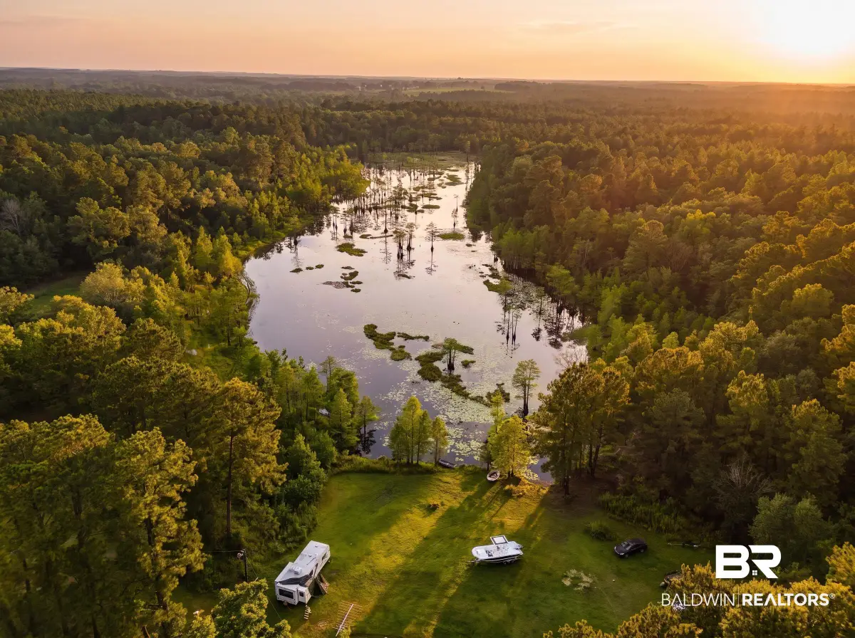 0 Doyle Morgan Road, Samson, AL 36477 - #1