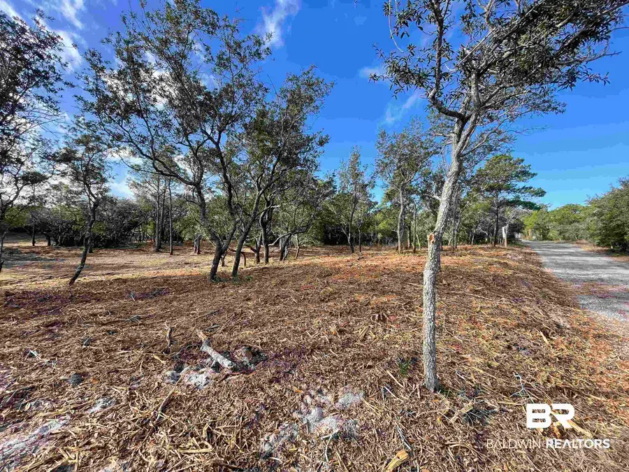 123 Kelly Lane, Gulf Shores, AL 36542 - #2