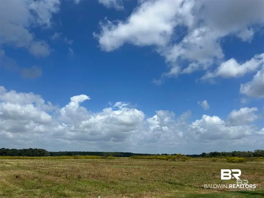0 County Road 65 Lot #4, Foley, AL 36525 - #2