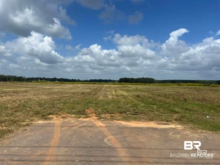 0 County Road 65 Lot #4, Foley, AL 36525 - #3