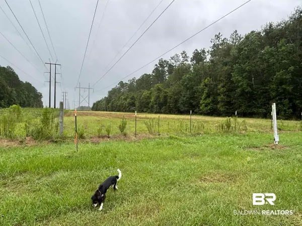 Lot 1 County Road 48, Robertsdale, AL 36567
