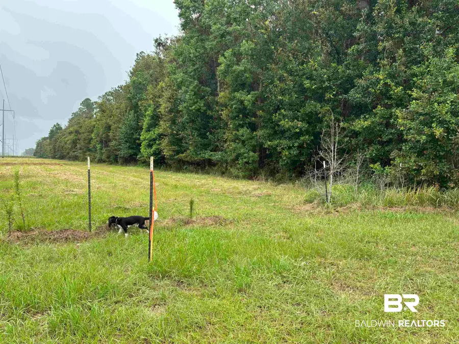 Lot 1 County Road 48, Robertsdale, AL 36567 - #2