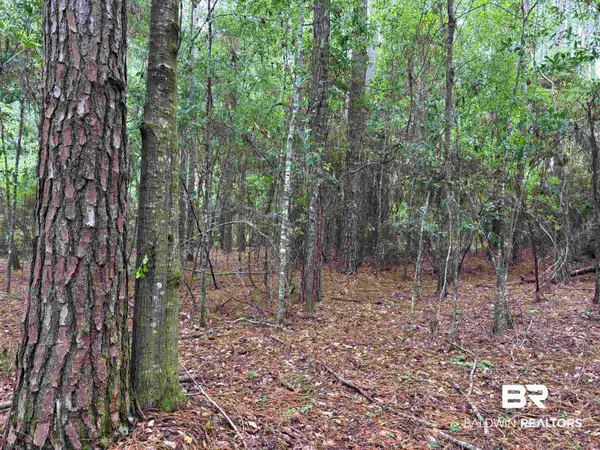 Lot 5 County Road 48 #5, Robertsdale, AL 36567
