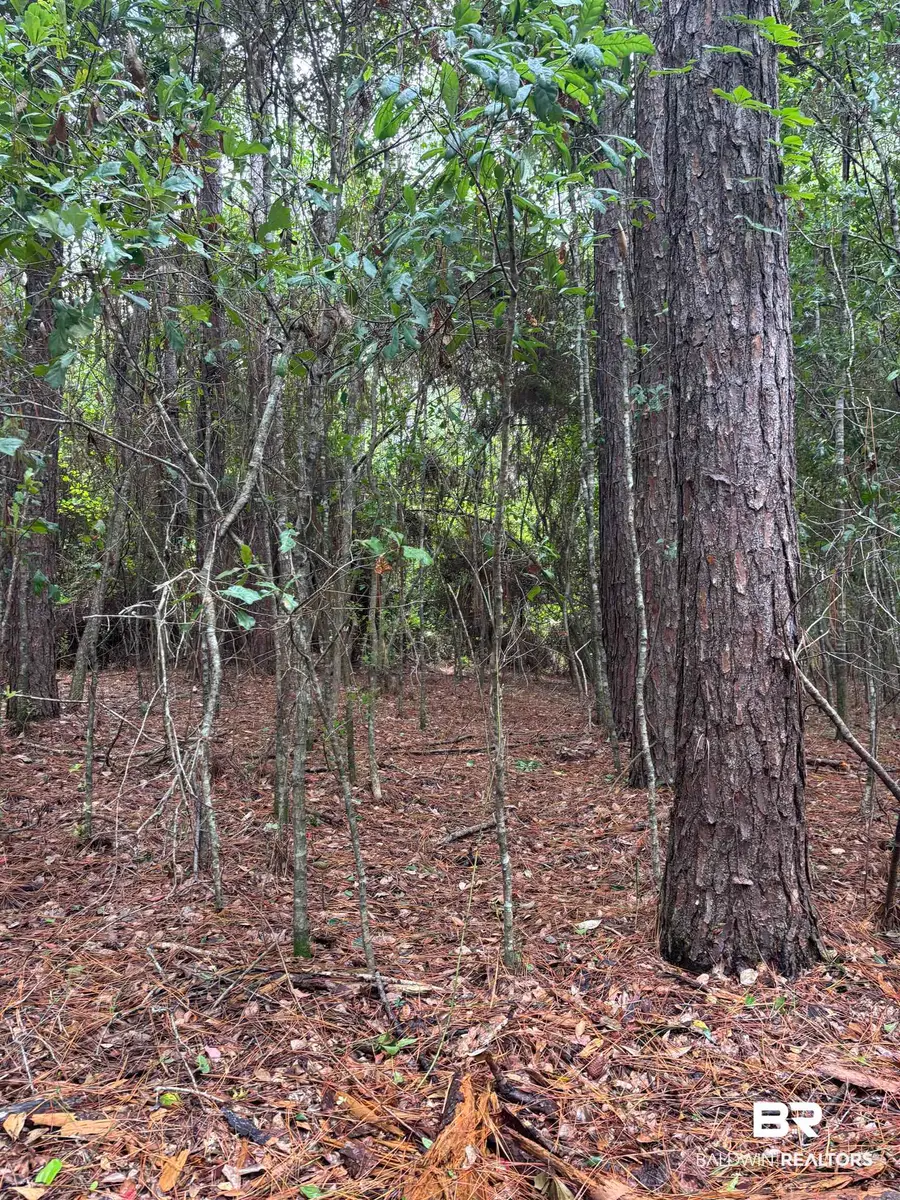 Lot 5 County Road 48 #5, Robertsdale, AL 36567 - #2