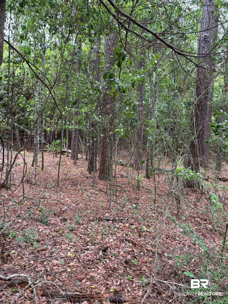 Lot 5 County Road 48 #5, Robertsdale, AL 36567 - #3