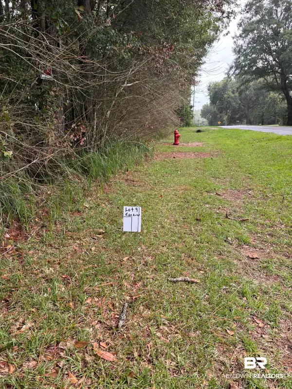 Lot 6 County Road 48, Robertsdale, AL 36567