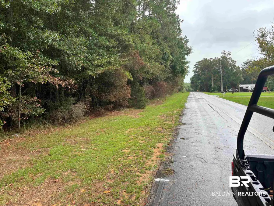 Lot 6 County Road 48, Robertsdale, AL 36567 - #2