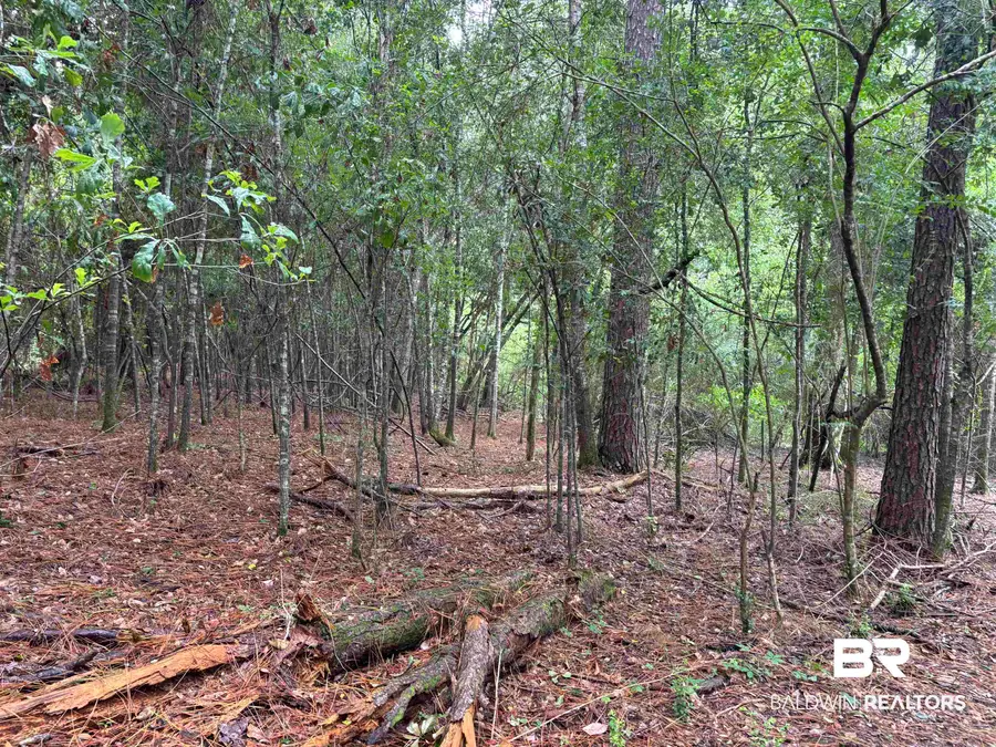 Lot 7 County Road 48, Robertsdale, AL 36567 - #2