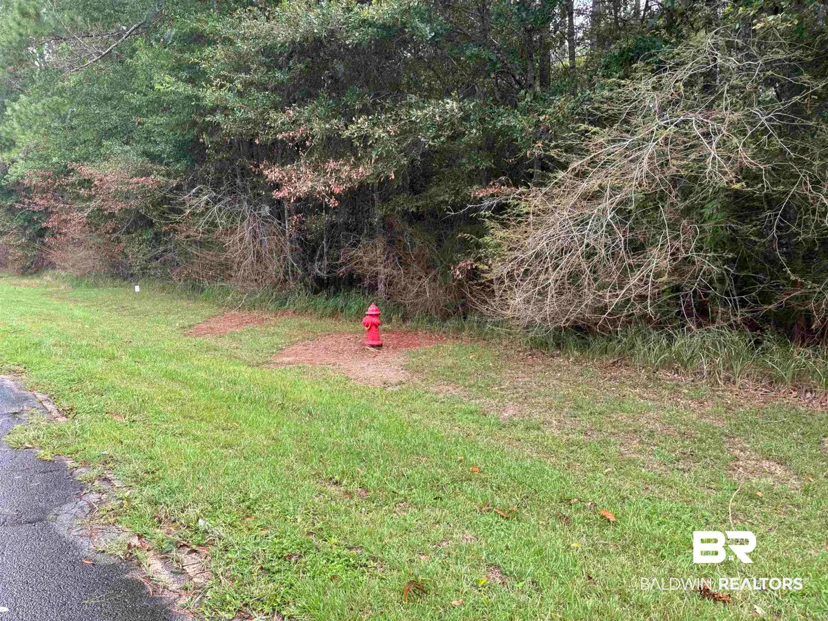 Lot 8 County Road 48, Robertsdale, AL 36567 - #1