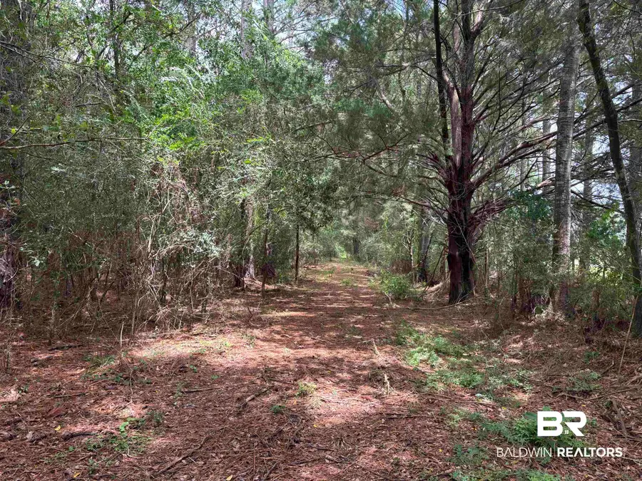 Lot 9 County Road 48, Robertsdale, AL 36567 - #2