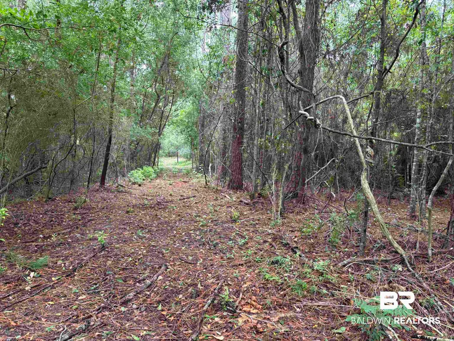 Lot 9 County Road 48, Robertsdale, AL 36567 - #3
