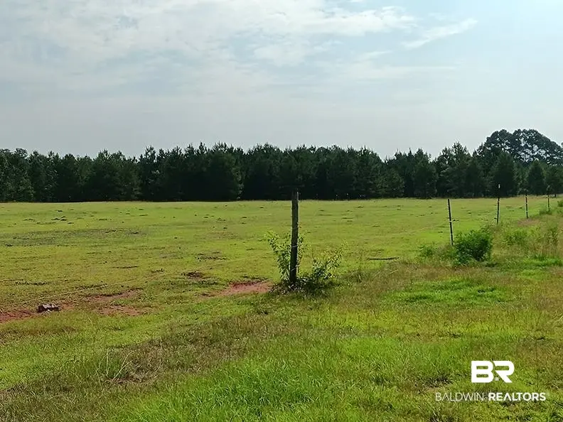 21379 Ima Brill Loop, Robertsdale, AL 36567 - #2