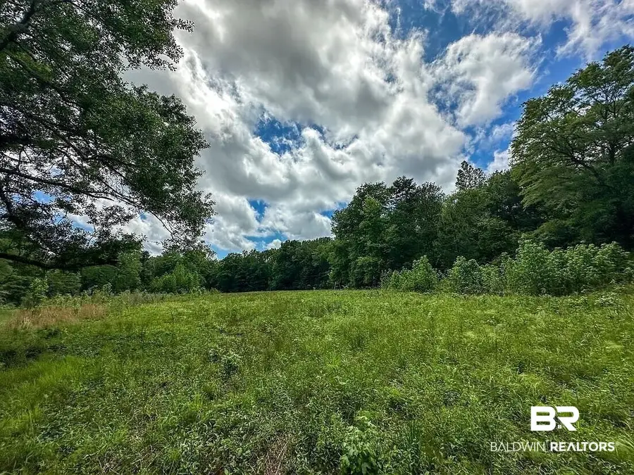 0 Loree Road, Evergreen, AL 36401 - #2