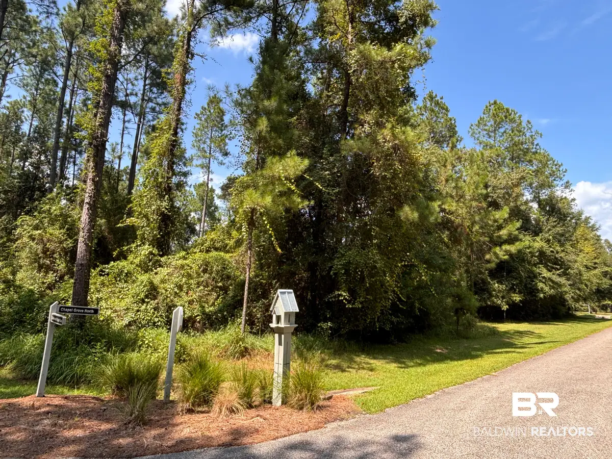 Lot 22 Chapel Grove, Loxley, AL  - #1
