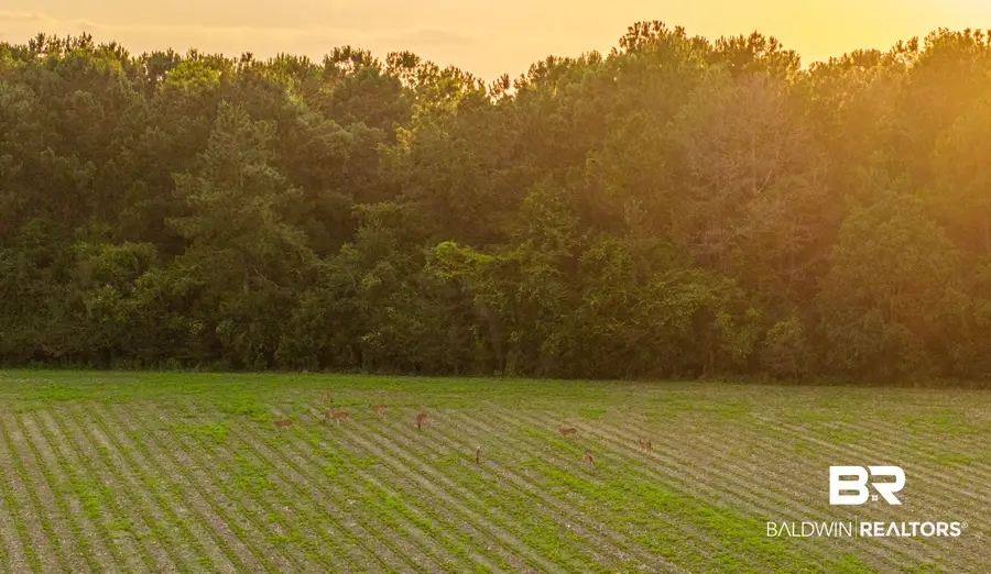 000 Pine Road S, Stapleton, AL 36578 - #3