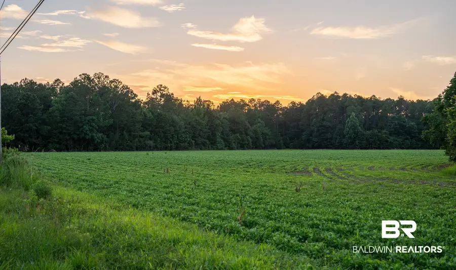 00 Pine Road S, Stapleton, AL 36578 - #3