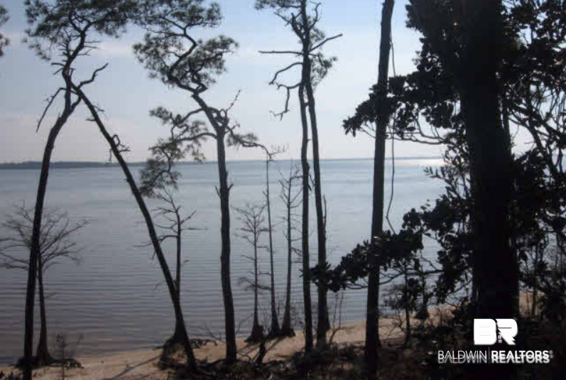0 Tarklin View Dr. Lot 6 Tarklin View Drive, Lillian, AL 36549 - #1