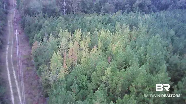 0-1   US Highway 31 /us Highway 31, Evergreen, AL 36401