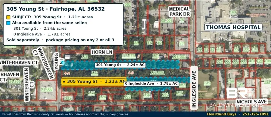 301 Young Street, Fairhope, AL 36532 - #2