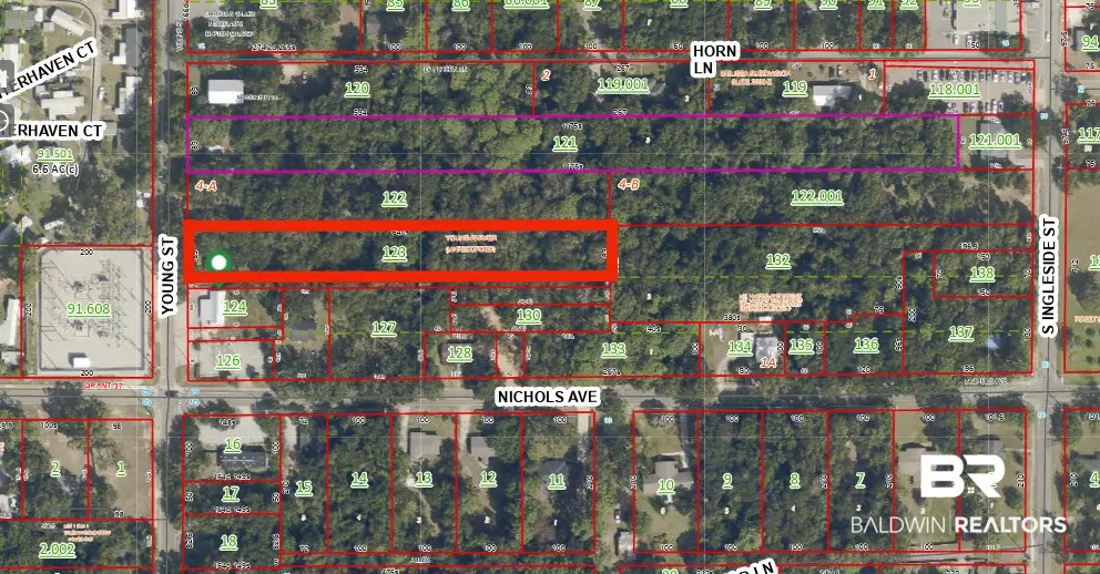 305 Young Street, Fairhope, AL 36532 - #1