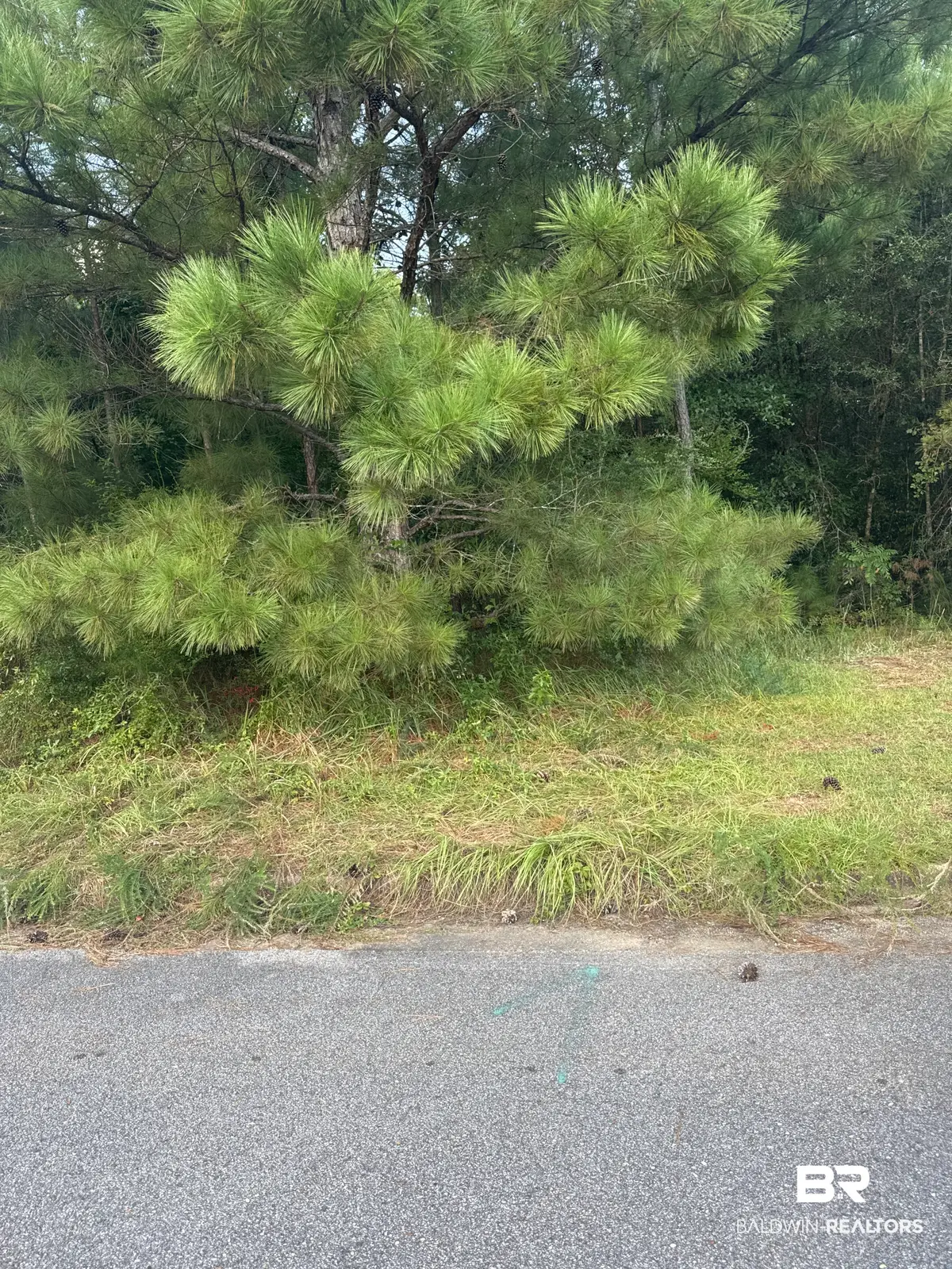 0 Creekwood Place, Mobile, AL 36695 - #1