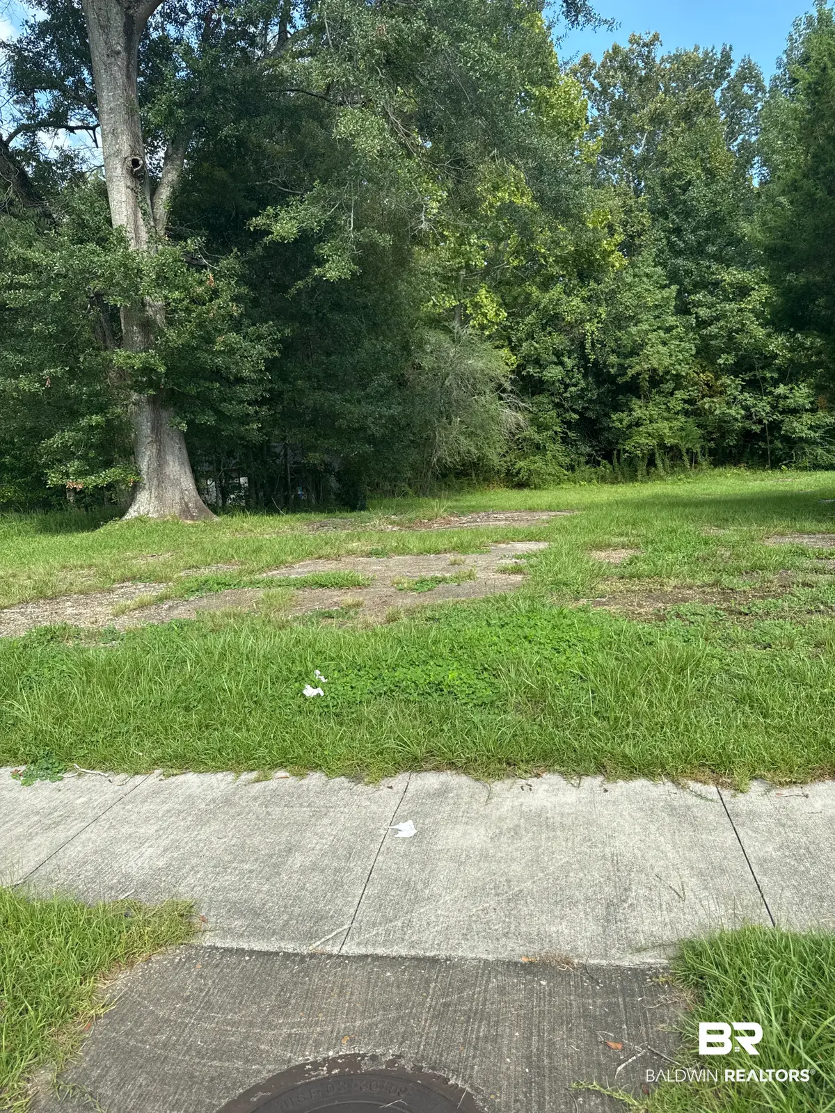 7230 Old Shell Road, Mobile, AL 36612 - #1
