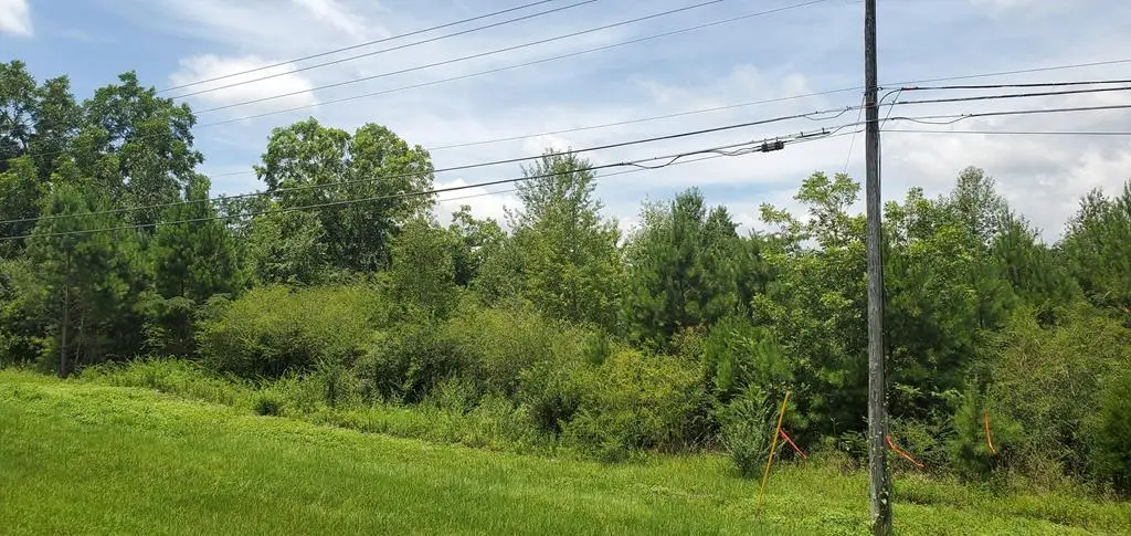 0 S Oates Street, Dothan, AL 36301 - Image #1