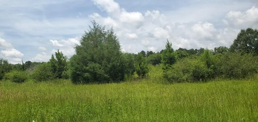 00 S Oates Street, Dothan, AL 36301 - Image #3