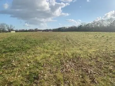 0 W Cook Rd, Taylor, AL 36301 - Image #3