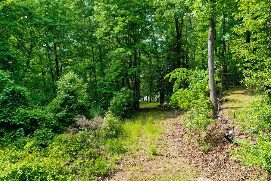 0 Watson Spur Rd, Georgetown North, GA 39854 - Image #3