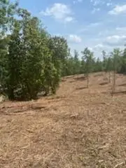 0 Englewood Dr, Abbeville, AL 36310 - Image #2