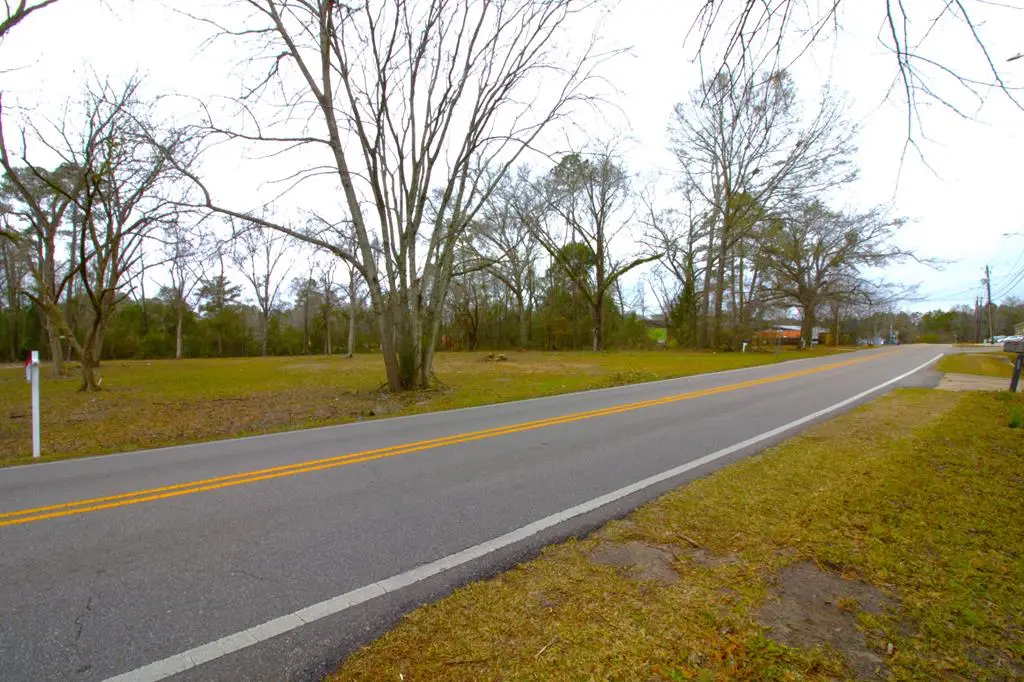 218 -LAND ONLY Hodgesville Rd (behind Flying J), Dothan, AL 36301 - Image #1