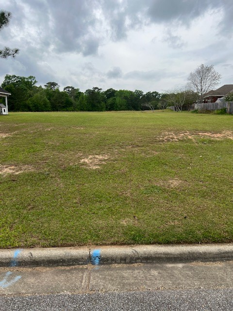 206 Wynnfield Way, Dothan, AL 36301 - Image #2