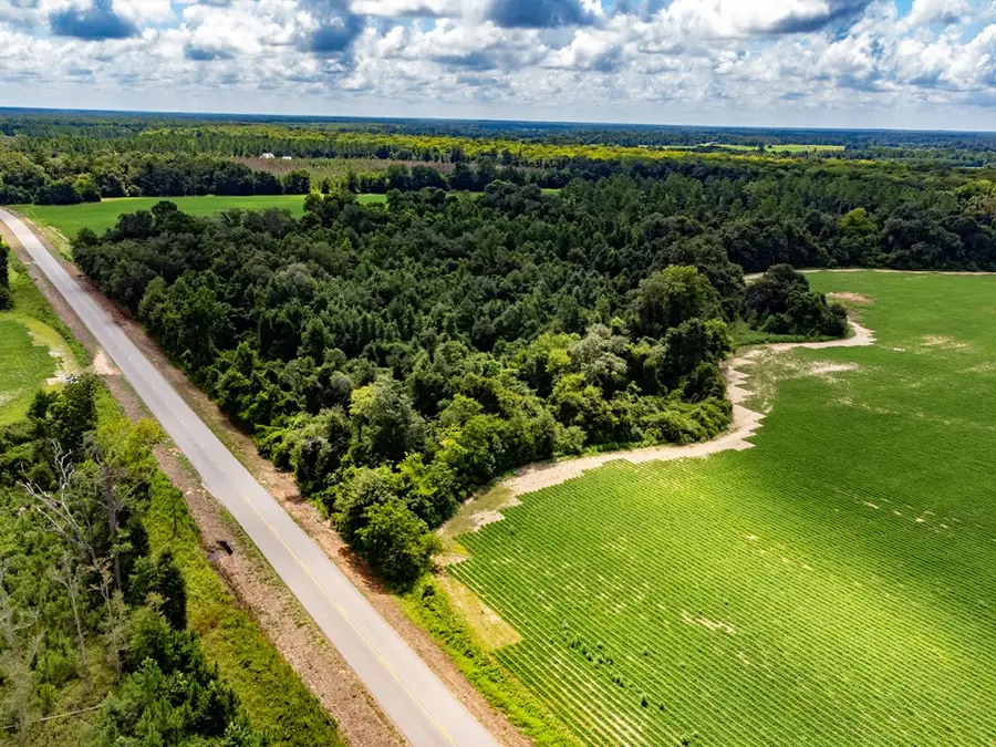 01 State Line Road, Cottonwood, AL 36320 - Image #3