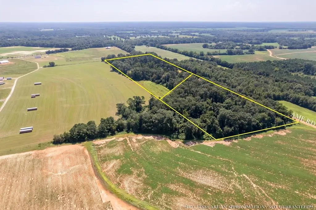 0 Ame Lot 2, Slocomb, AL 36375 - Image #1