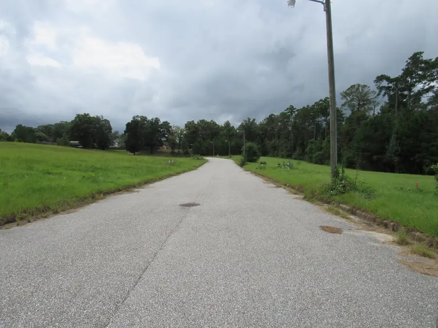 116 Barefoot Lane, Eufaula, AL 36027 - Image #2