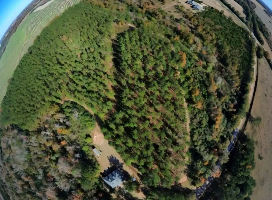 0 Bruner Pond Rd, Ashford, AL 36320 - Image #2