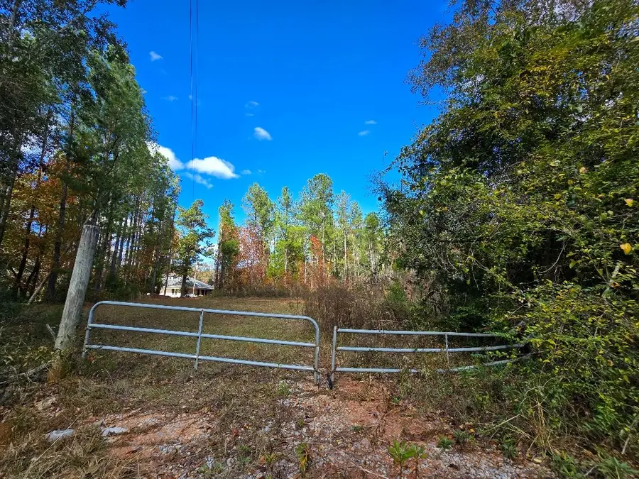 0 Bruner Pond Rd, Ashford, AL 36320 - Image #3