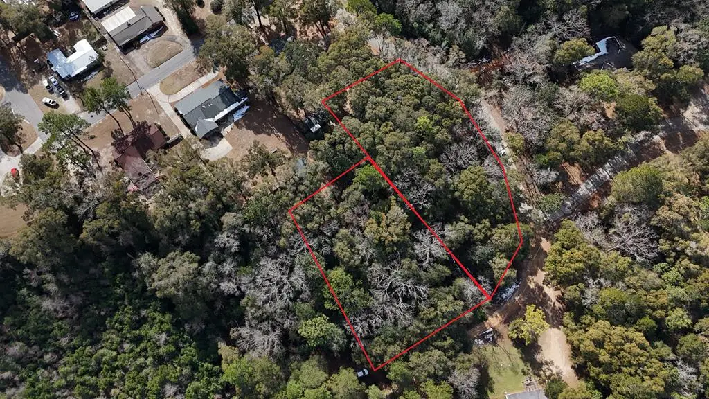 0 N Sunflower Street, Geneva, AL 36340 - Image #1