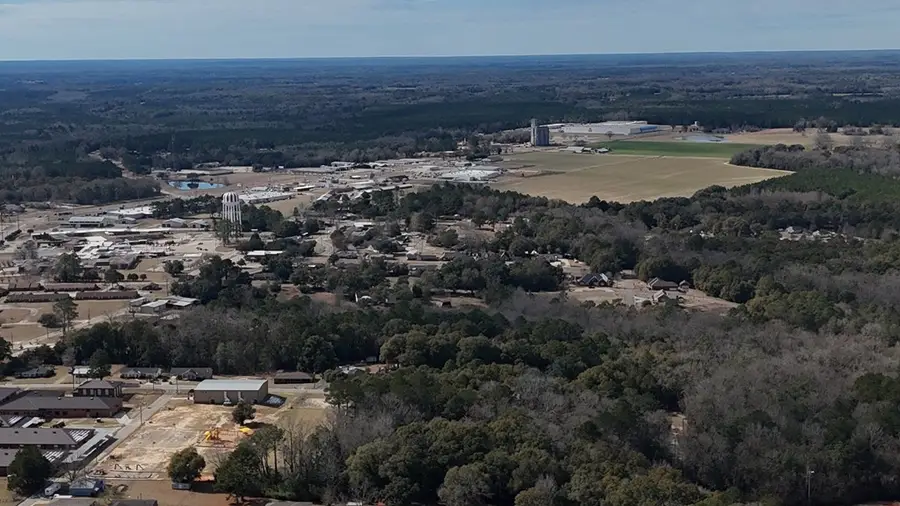 0 N Sunflower Street, Geneva, AL 36340 - Image #2