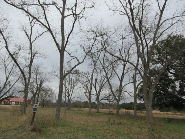 981 Providence Rd, Slocomb, AL 36375 - Image #3