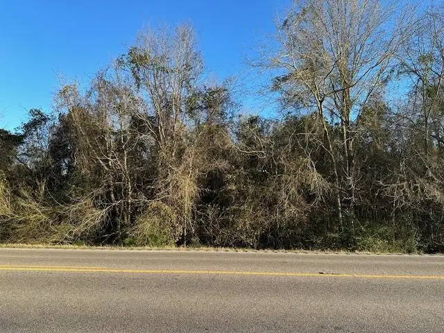 0 S State Highway 109, Lot 1, Dothan, AL 36301 - Image #1