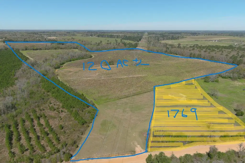 0 Macedonia Church Road, Columbia, AL 36319 - Image #1