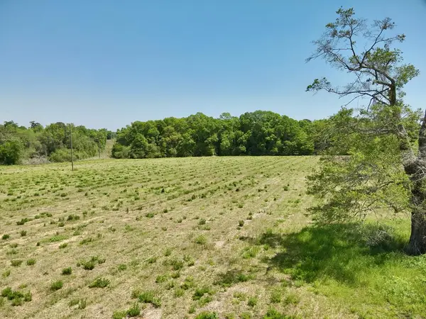 11.97 acres Omussee Road, Dothan, AL 36303