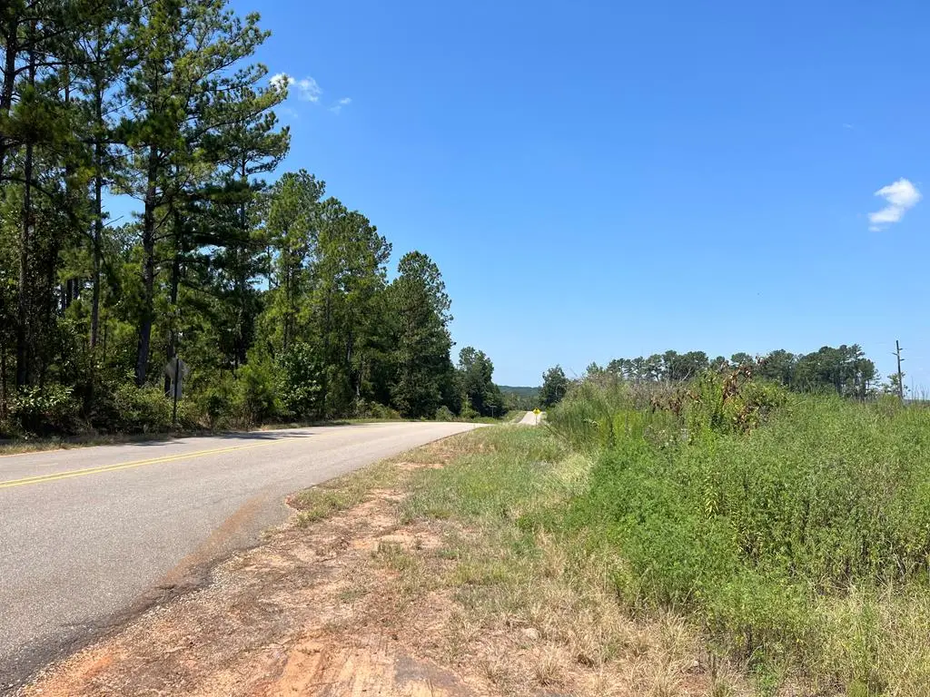 Lot # 11 County Road 22, Columbia, AL 36319 - Image #1