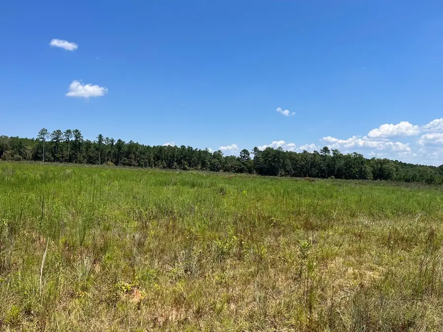 Lot # 14 County Road 22, Columbia, AL 36319 - Image #2