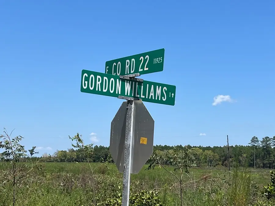 Lot # 14 County Road 22, Columbia, AL 36319 - Image #3