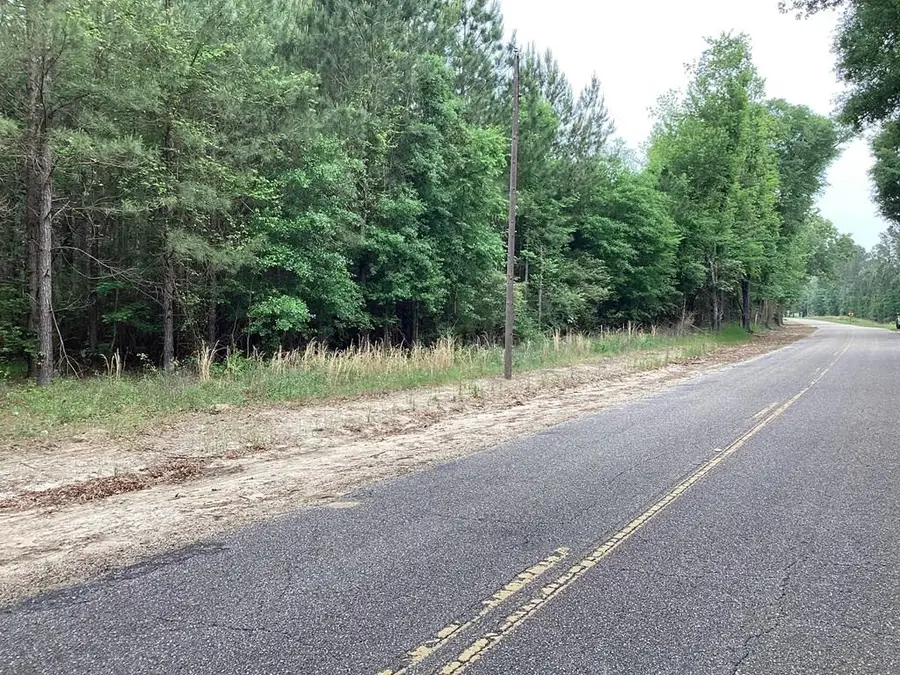 1290 Guy Branch Road, Cottonwood, AL 36320 - Image #2