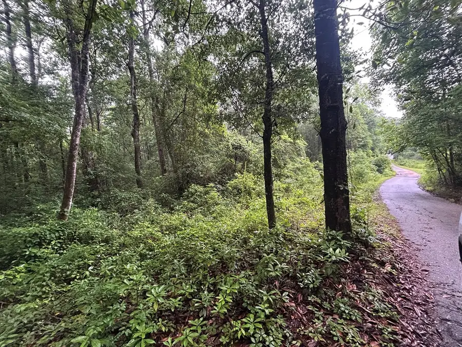 0 Holmes Rd, Newton, AL 36352 - Image #2